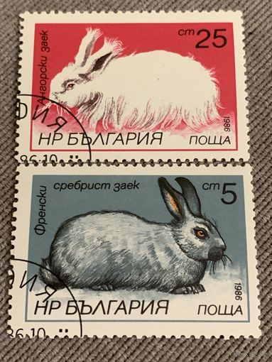 Болгария 1986. Кролики. Марки из серии