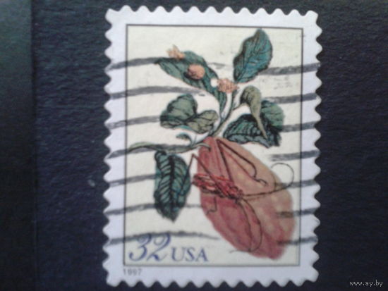 США 1997 стандарт, цитрус
