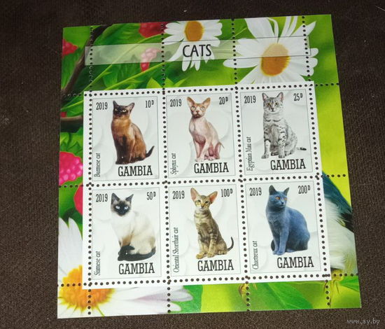 СЕРИЯ БЛОКОВ  СОБАКИ КОШКИ  фауна   MNH