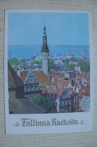 Эстонская ССР. Таллинская ратуша; 1977, чистая.