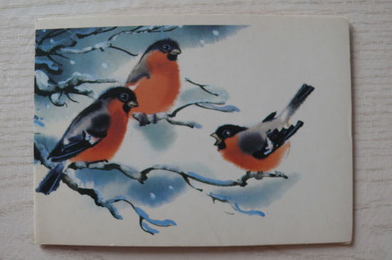 Каневский В., С Новым годом! 1987, двойная, подписана (снегири).