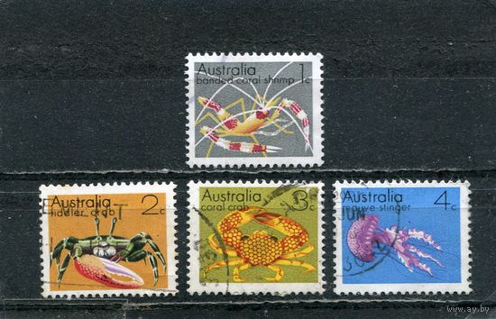 Австралия. Морская фауна