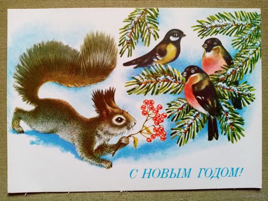 Достян 1991 С Новым годом! чистая белка снегири рябина