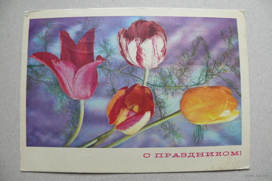 Костенко Г., С праздником! 1970, подписана.