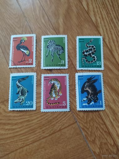 Болгария серия марок 1968 г. Юбилей зоопарка в Софии.