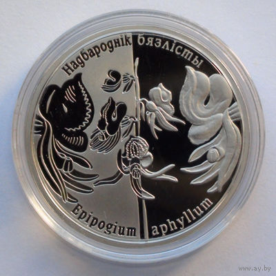 1 рубль, Надбородник безлистный, 2016