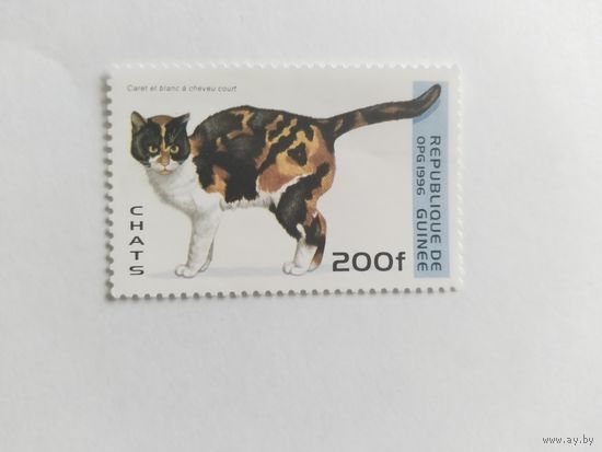 Гвинея 1996 коты