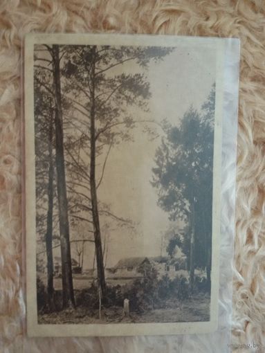 ПМВ. Восточный фронт. Разрушенная деревня. 1918