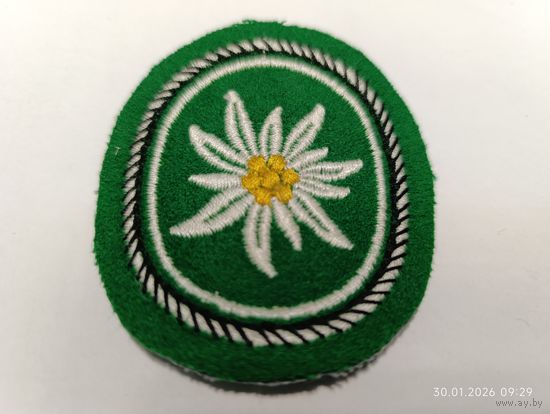 Шеврон горно-пехотной дивизии Эдельвейс