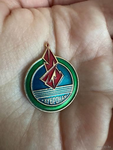 Зубрёнок значок зубронак