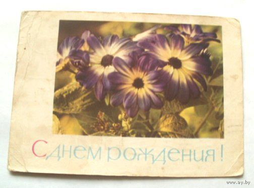 Открытка 1965 (32)