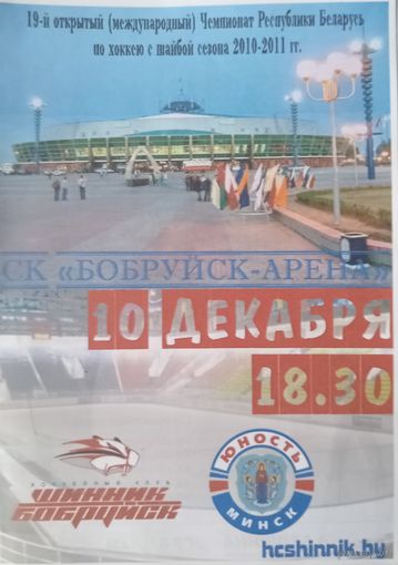 Программка. Бобруйск. Хоккей.