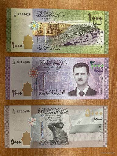 Сирия набор 50, 100, 200, 500, 1000, 2000, 5000 фунтов 2021 г. -8,50 (2)