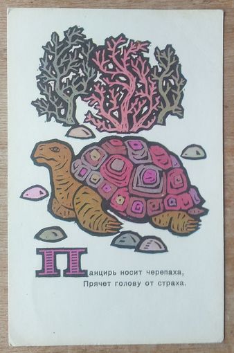 Сенновский Б. Черепаха. 1969 г. Чистая.