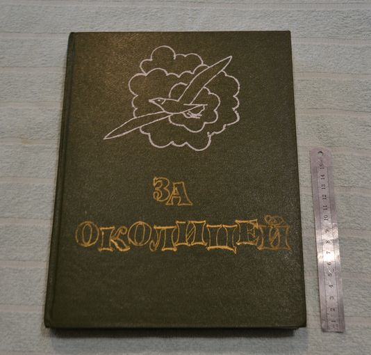 За околицей. Читаем описание лота.