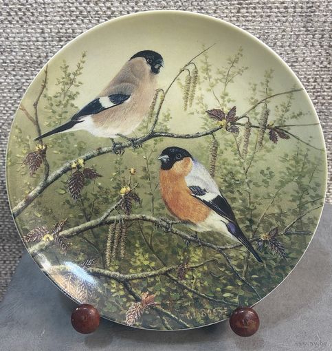 Декоративная настенная тарелка Tirschenreuth Свидание в березовой роще. Из серии Самые красивые портреты птиц Карла-Ганса Бёзе. Германия 1995 год. 19.5 см