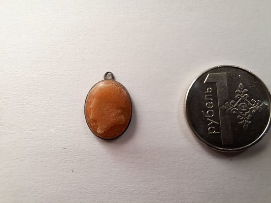 Камелия серебро