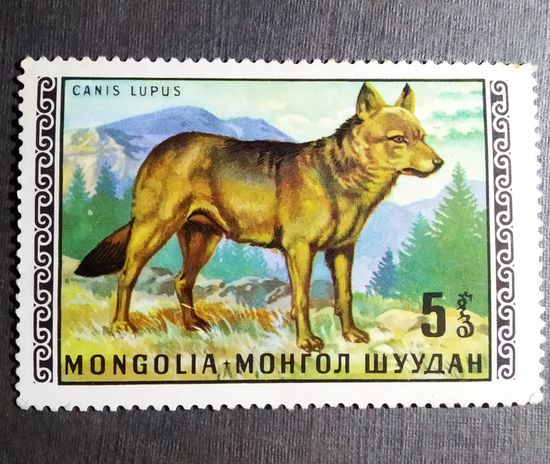 Марка Монголия 1972 год Дикие животные