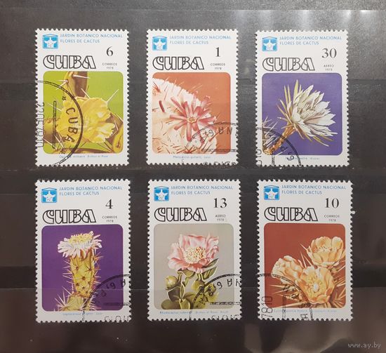 Куба. 1978 год. Флора. Кактусы (221)