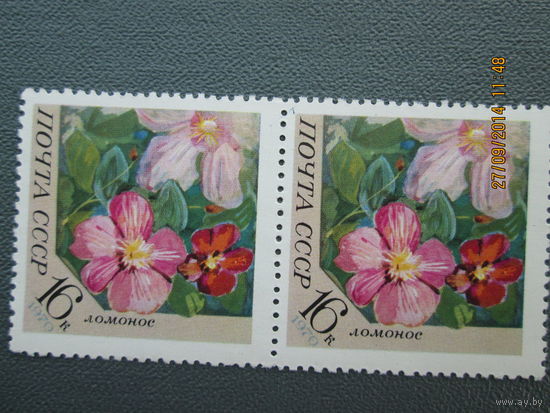 Цветы 1970 г сцепка