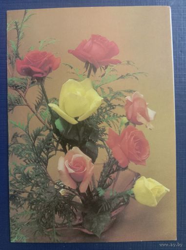 Открытка СССР 1986 Розы Фото Бабайлова Подписанная Двойная