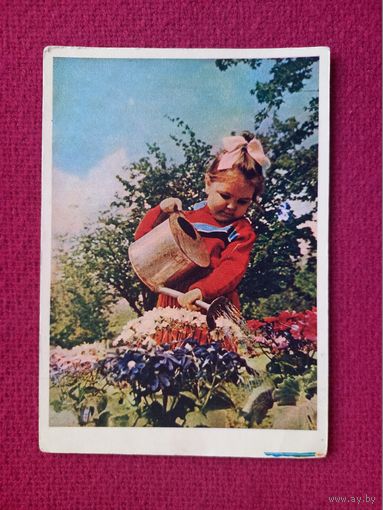 Сама садик я садила! Тюккель 1958 г. Чистая.