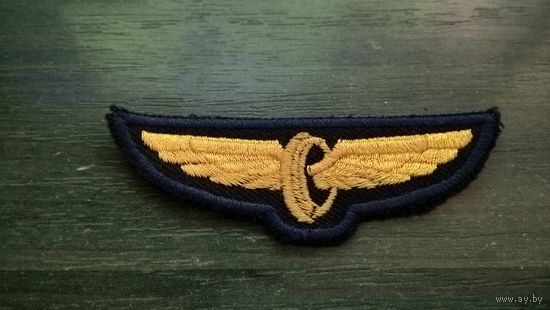 Нагрудный знак МПС Беларуси (Шитый, жёлтая нить)