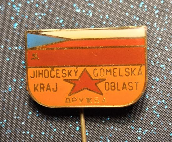 Значок чсср дружба богемия с гомельской облостью гомель распродажа коллекции