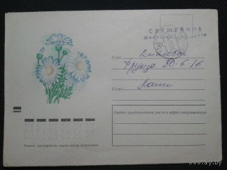 1973 ромашки прошло почту