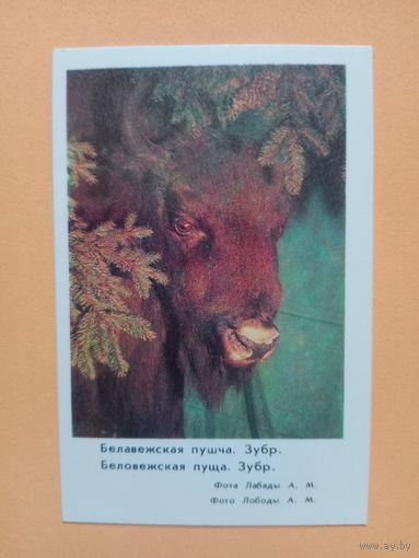 Календарик,1983
