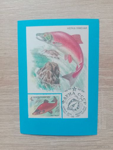 Календарик 1991