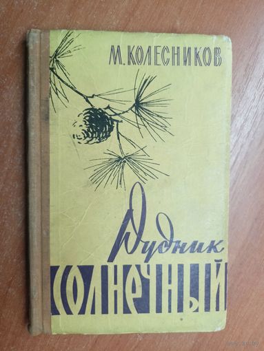 Михаил Колесников "Рудник солнечный"