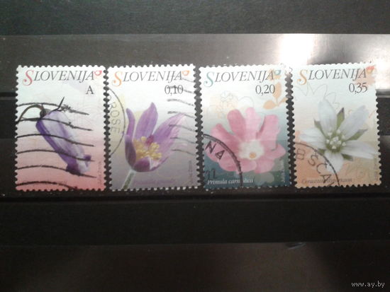 Словения 2007 Цветы, стандарт