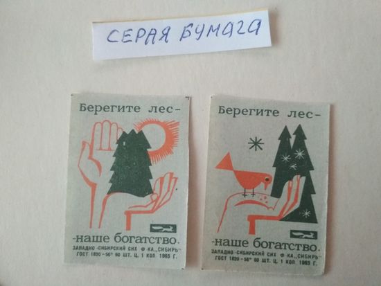 Спичечные этикетки ф.Сибирь. Берегите лес. 1965 год