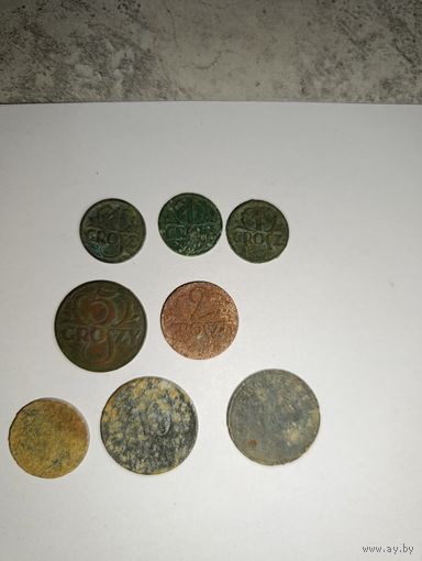 Польские гроши и немецкие пфенниги