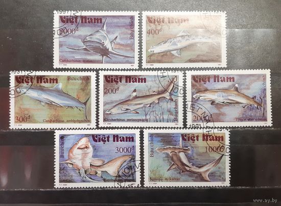 Вьетнам. 1991 год. Фауна моря. Акулы (1614)