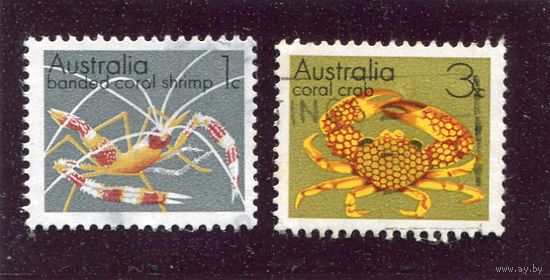 Австралия. Морская фауна