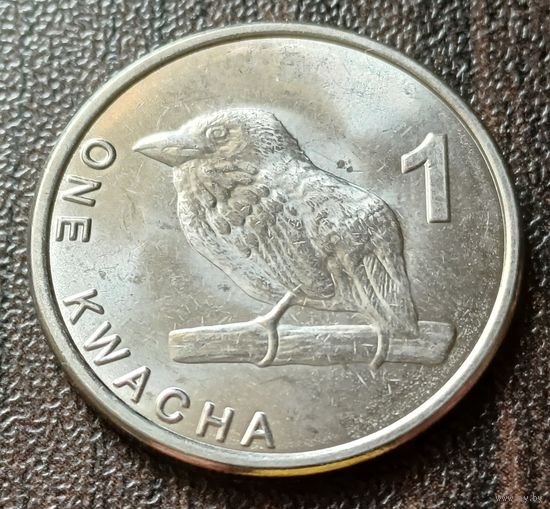 Замбия 1 квача, 2024    ( 1-12-1 )