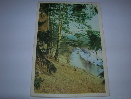 Телеграмма 1965 год Природа Серия В-22. Подписана Бобруйск 06.03.1968