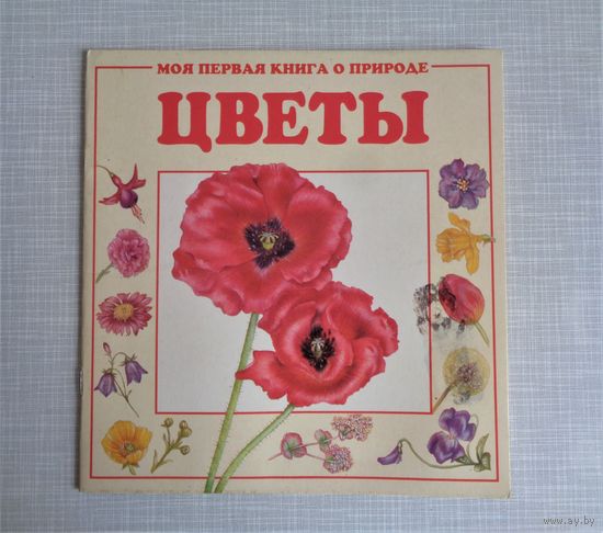 Цветы. Серия "Моя первая книга о природе"