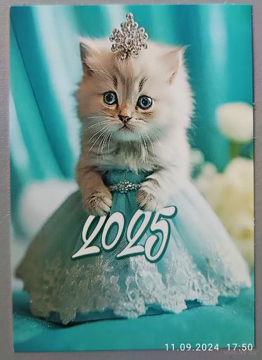 Кошка. Календарик, 2025
