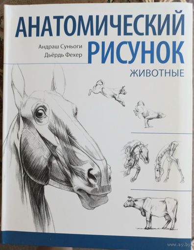Анатомический рисунок. Животные. Андраш Суньоги, Дьердь Фехер, 2014 г. РАСПРОДАЖА!