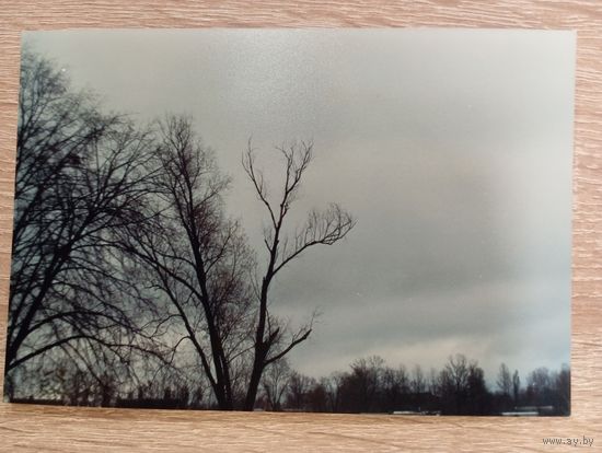 О-1. ФОТОГРАФИЯ . ЗИМНИЙ ПЕЙЗАЖ.