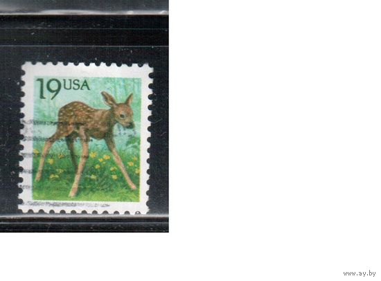 США-1991, (Мих.2122), гаш. , Стандарт, Фауна (одиночка),