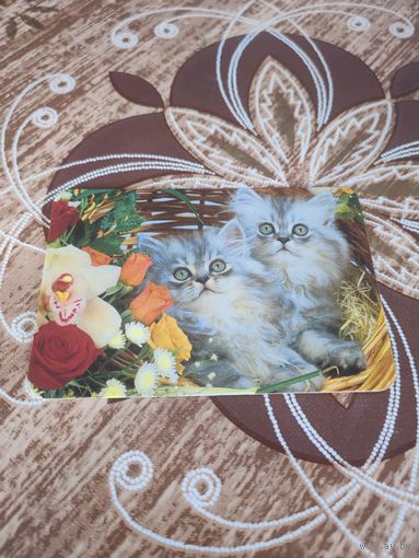 Календарик,коты,укрвина,2011