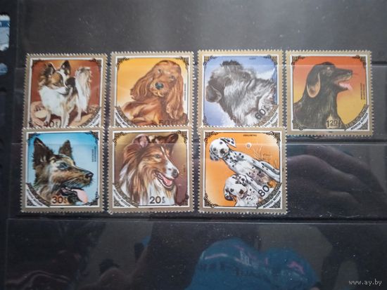 Собаки монголия **