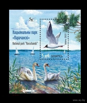 2023 Беларусь 1505 Нарочанский национальный парк. Фауна. Птицы. Корабли Лебедь. Чайка. ** ЗУБ