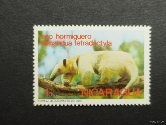 Никарагуа 1974. Дикие животные