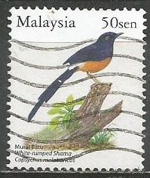 Малайзия. Белопоясничный шама-дрозд. 2005г. Mi#1314.