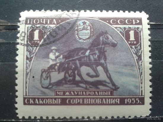 1956, Скаковые соревнования, концевая